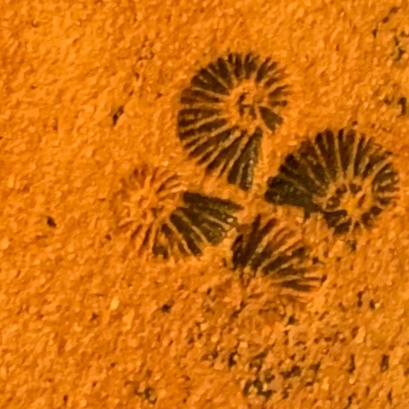 Earthy Geometric Pattern Plate - Picture 6 of 6